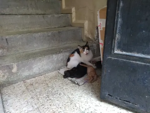 This mom gave birth in the hallway behinde the entrance door of an apartment building