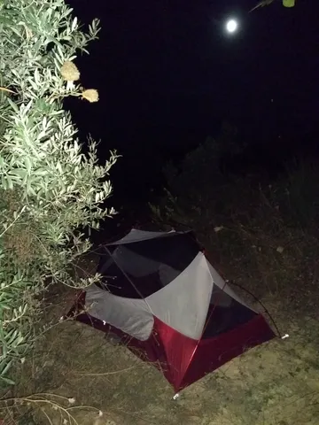 No capturing the atmosphere without a proper camera -- camping under the moonlight in an olive grove
