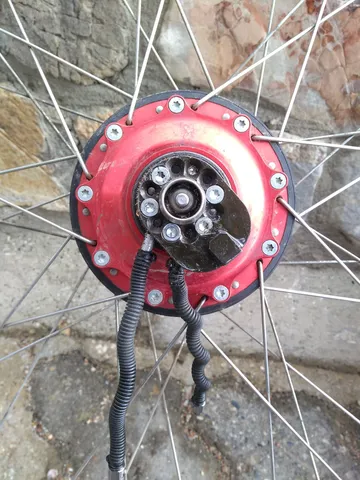 Rohloff leaking