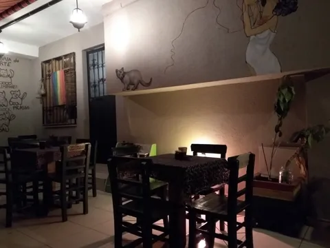 Nicely decorated vegetarian cat cafe