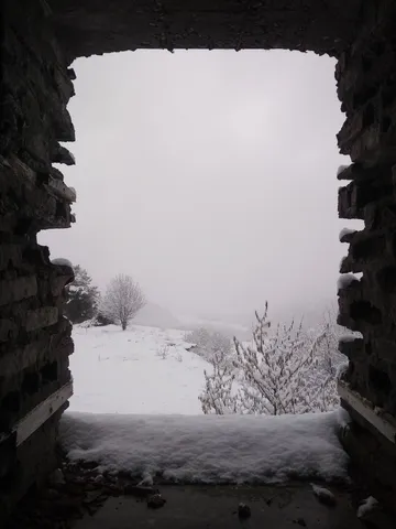 Window view in the morning