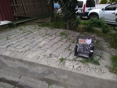 Someone built a cat house. Cute!