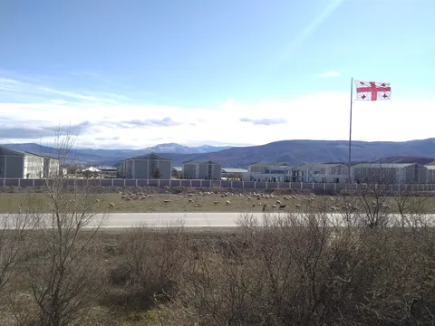 Just sheep grazing next to a barracks