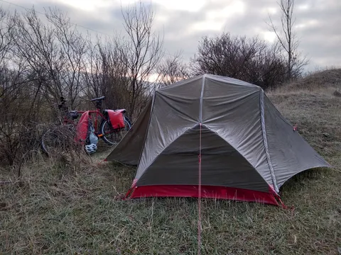 Cold morning in the fields