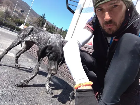 This poor dog was too weak to beg for food and still hungry for crackers after I fed him 5 sausages from the butcher.