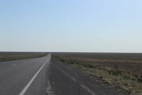 This was my view for about 200 km of riding :hopeful: