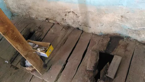 Traditional toilets, as they can be found all over Central Asia