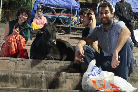 During Diwali fireworks, this shy calf was seeking our company. It was so scared from all the noise!