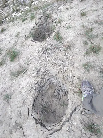 I was rather surprised to find my mother's foot prints in the sand! Or maybe someone else from our group has the same shoes like her...?