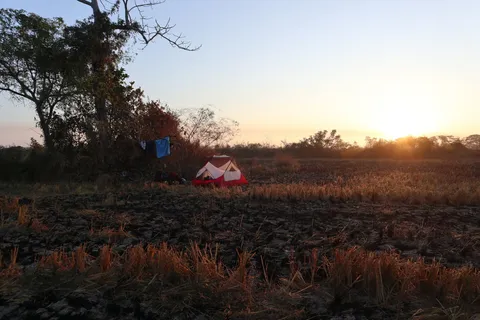 On a field, somewhere