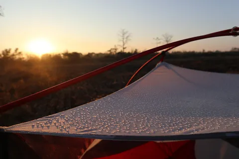 Hubba Hubba in action. On warm, rain free days like these the rainfly stays off the tent.