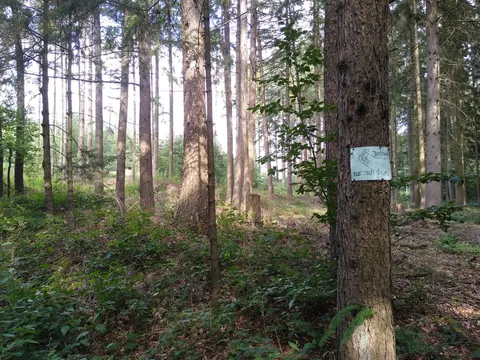 Encouraging sign: "Keep going, only 100 more meters!"