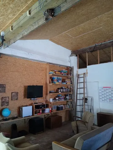 The living room of the rainbow family hippie commune I'm crashing with for a couple of days has an (inhabited) bird's nest in the living hall, giving home to a Eurasian wren's family