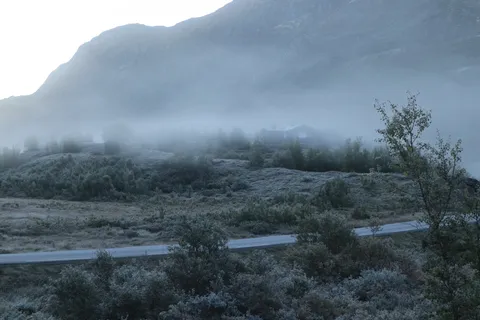 "Can you feel the cold?"