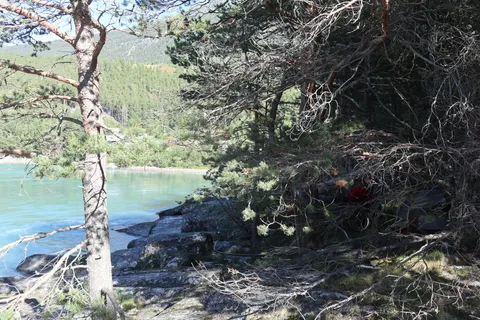 Tent in the woods