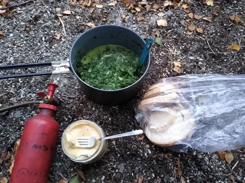 Camping kitchen: Spinach, canned fish in mustard sauce and bread