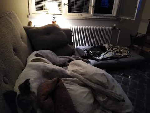 Hey... that's MY couch...! #couchsurfing