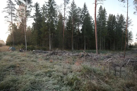 Wolfcamp: the night before during dinner time, a local wolf would stop by.
