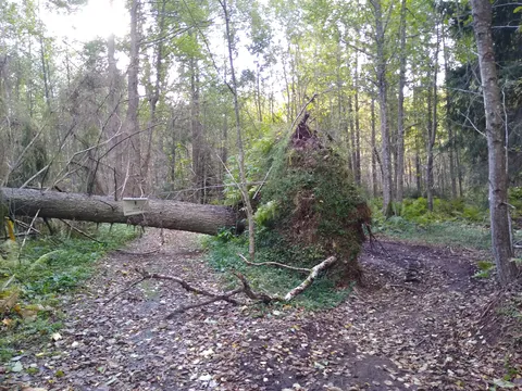 A cycling route may contain occasional obstructions