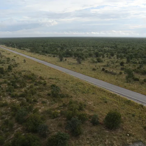 Crossing through 300 km of bush land on perfect tarmac was largely uneventful, with the exception of a few giraffes and elephants spotted.
