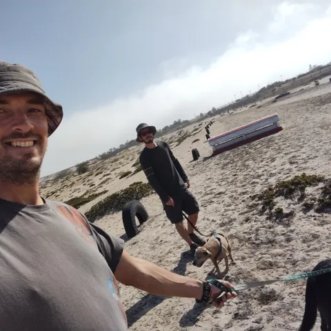 Just another good day to walk the dogs