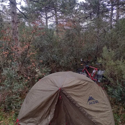 Camping in a forest near the airport