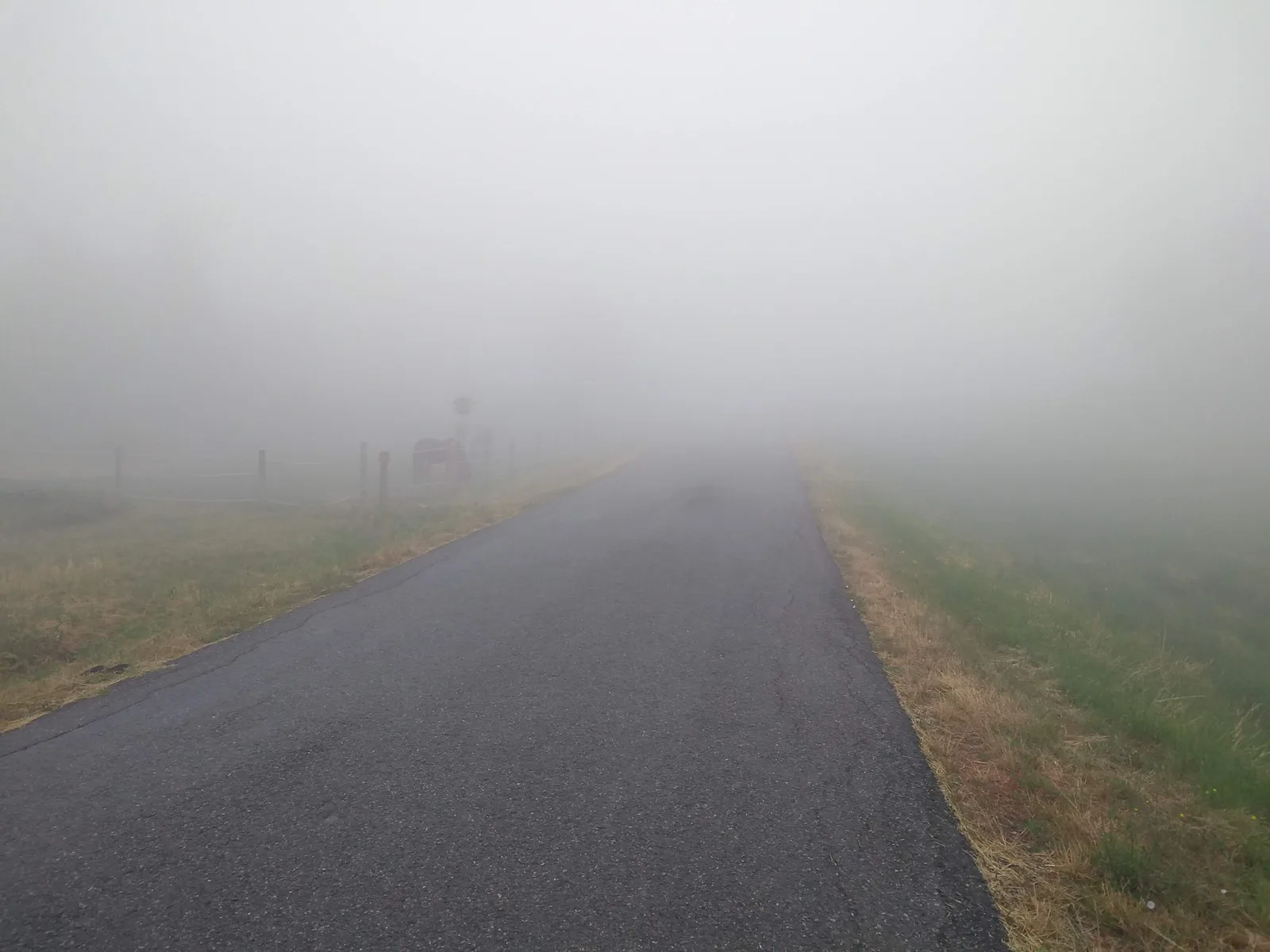 Find out What happens after I wander off the main road.