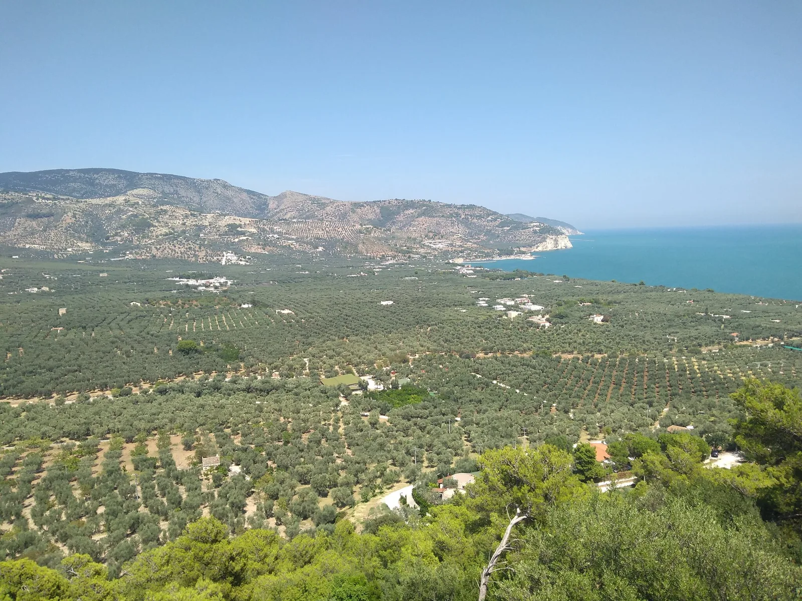 My roundtrip to Gargano will last some 5 days altogether, with stops in Manfredonia, Vieste and the Foresta Umbra.