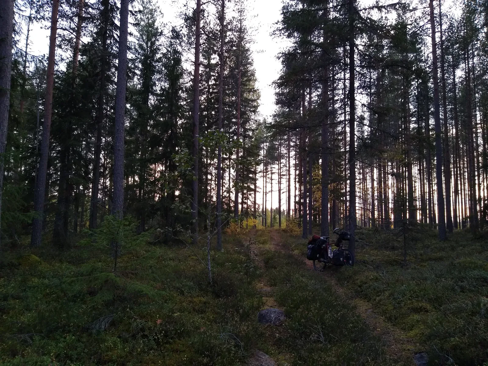 Just as I am in Sweden, Finland (re-)opens its borders again, prompting me to cut my Sweden journey short and cross the Baltic Sea by ferry. South again!